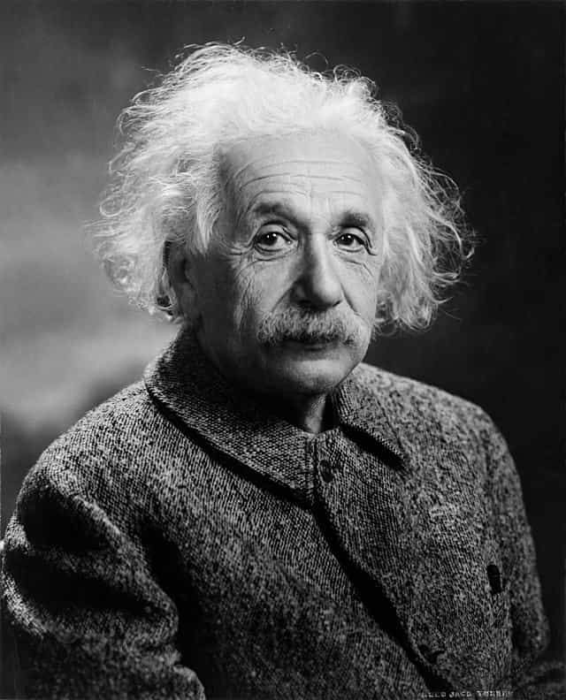 Einstein fleshy 1