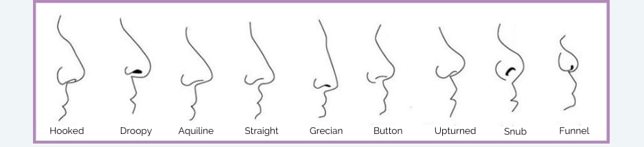 Nose Types