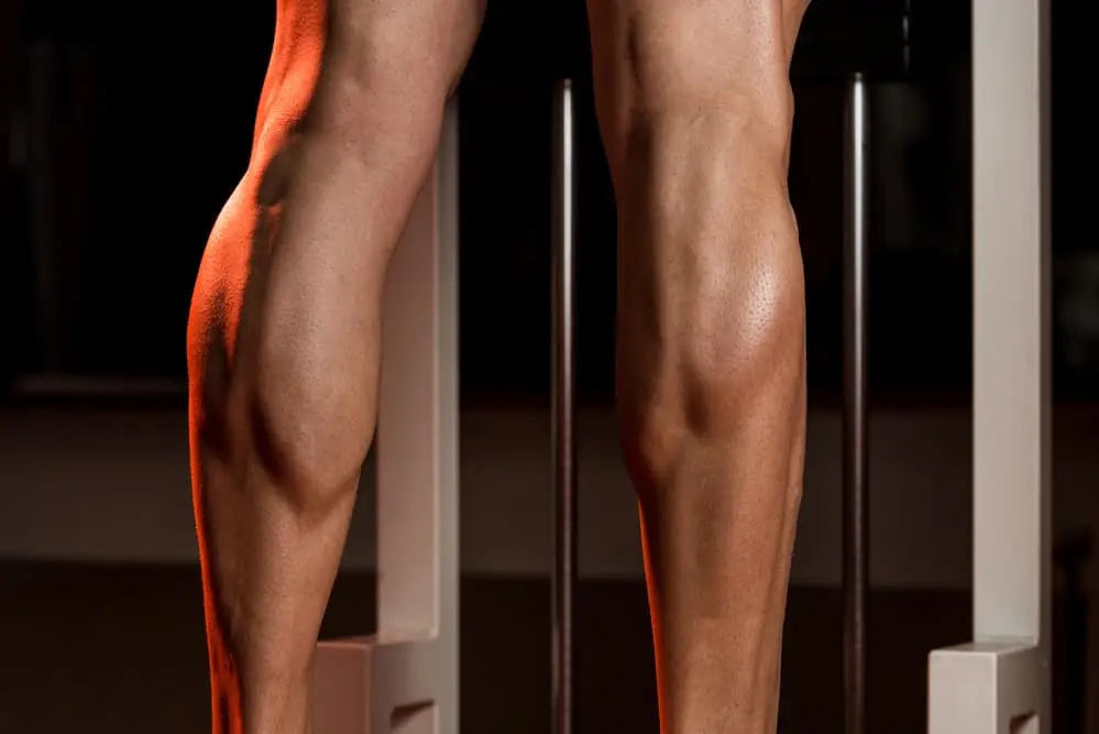Male calves