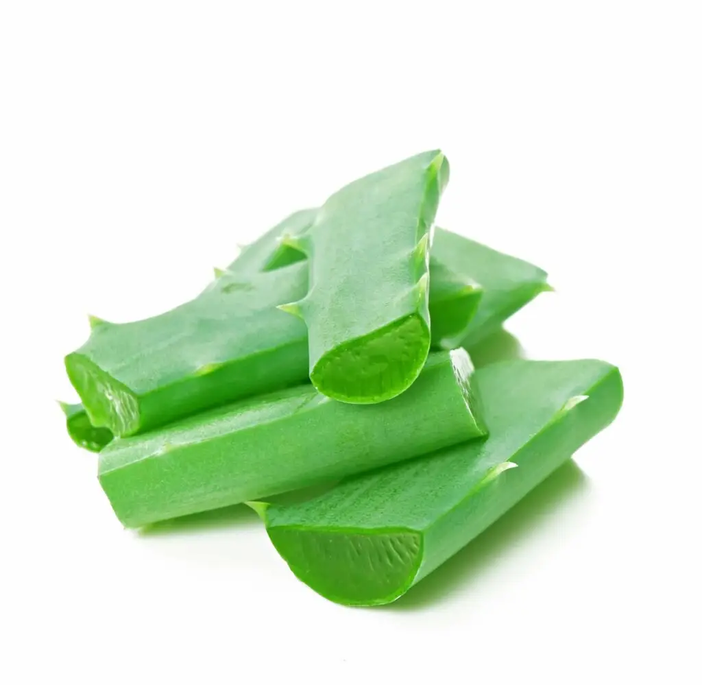aloe vera